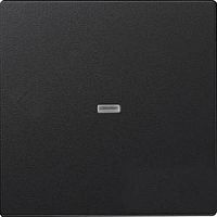 SIMON Клавиша с окном подсветки графит (8200011-038)