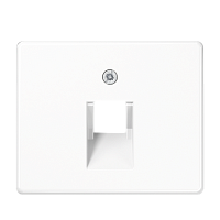 JUNG Крышка для одинарной телефонной и компьютерной розетоки UAE  белая (SL569-1UAWW)