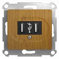 SCHNEIDER ELECTRIC GLOSSA Розетка USB дуб в рамку (GSL000532)