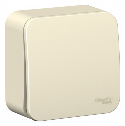 SCHNEIDER ELECTRIC Переключатель BLANCA одноклавишный наружный  (схема 6) с изоляционной пластиной 10а 250b молочный (BLNVA106012)
