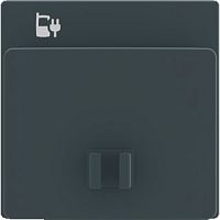 ABB FUTURE Плата центральная для блока питания microUSB - 6474U антрацит/черный 6478-81 (6400-0-0012)