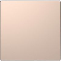 SCHNEIDER ELECTRIC Заглушка D-Life шампань SD (MTN4075-6051)