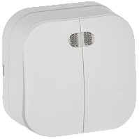 IEK GLORY Выключатель 2-клавишный для открытой установки с индикацией 10А ВС20-2-1-ХБм белый матовый  (EVH21-K01M-10)