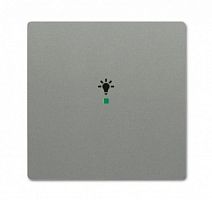 ABB Клавиша одинарная free@home освещение future цвет meteor/серый металлик (6220-0-0551)