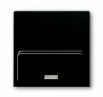 ABB BASIC 55 Плата центральная  (накладка) для механизма док-станции Busch-iDock 8218U chateau-black (8200-0-0162)