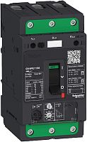 SCHNEIDER ELECTRIC Выключатель автоматический GV4PE комбинированный расцепитель 115A 100kA зажим EVERLINK (GV4PE115S)