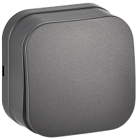 IEK GLORY Выключатель 1-клавишный для открытой установки 10А ВС20-1-0-ХСм сталь матовый  (EVH10-K46M-10)