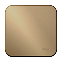 SCHNEIDER ELECTRIC Выключатель одноклавишный наружный BLАNCА  (cх.1) с самовозвратом, с изолирующей пластиной, 10А, тит (BLNCA101014)