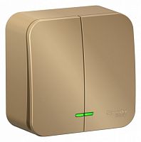 SCHNEIDER ELECTRIC Выключатель наружный двухклавишный BLANCA  (cх.5) с подстветкой, изолирующей пластиной, 10А, 250В, т (BLNVA105114)