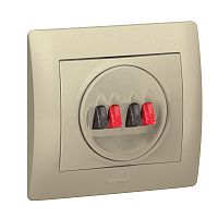 LEGRAND Galea Life Лицевая панель для розетка двойной для колонки титан (771425 )