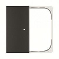 ABB SR-2-85NS Клавиша двойная free@home, SKY, черный бархат  (SR-2-85NS)  (2CLA852640A1501)