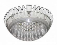 Светильник светодиодный ДБО-84-10-001 LED матовый IP65