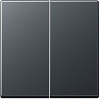 JUNG Клавиша 2-я для выключателей и кнопок  без подсветки. Серия A500  Материал- термопласт  Цвет- матов (A595BFANM)