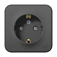 SCHNEIDER ELECTRIC BLANCA  розетка наружная  с заземлением со шторками, 16А, 250В, антрацит (BLNRA011106)
