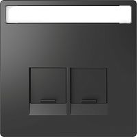 SCHNEIDER ELECTRIC Накладка центральная D-Life для 2-х модульных разъемов SE антрацит SD (MTN4574-6034)