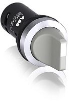 ABB Переключатель C2SS2-10U-10 двухпозиционный серый 1НО  (90 град.) с фиксацией  (черное декоративное ко (1SFA619201R1017)