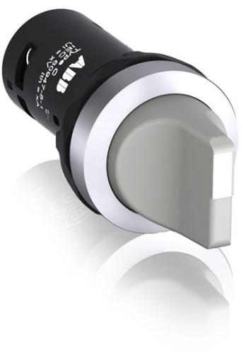 ABB Переключатель C2SS2-10U-10 двухпозиционный серый 1НО  (90 град.) с фиксацией  (черное декоративное ко (1SFA619201R1017)