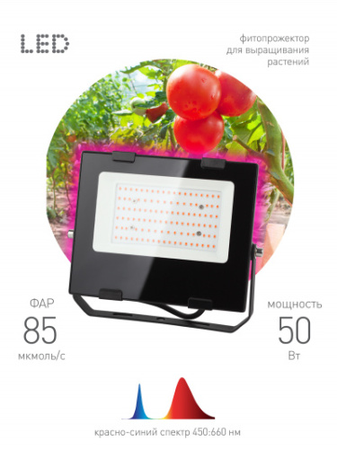ЭРА Прожектор красно-синего спектра FITO-50W-RB-LED  (Б0046368)