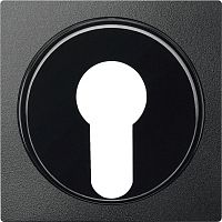 SCHNEIDER ELECTRIC Центральная плата для переключателя с фиксатором антрацит (MTN318114)