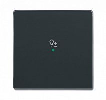 ABB Клавиша одинарная free@home светорегулятор future антрацит (6220-0-0149)