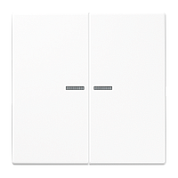 JUNG Клавиша 2-я для выключателей и кнопок  с окошком для подсветки. Серия LS990  Материал- дуропласт  Ц (LS995KO5WW)