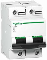 SCHNEIDER ELECTRIC Выключатель автоматический двухполюсный 80А D C120N (A9N18383)