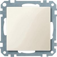 SCHNEIDER ELECTRIC Заглушка бежевый (MTN391644)