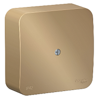 SCHNEIDER ELECTRIC BLANCA  коробка распределительная, титан (BLNRK000014)