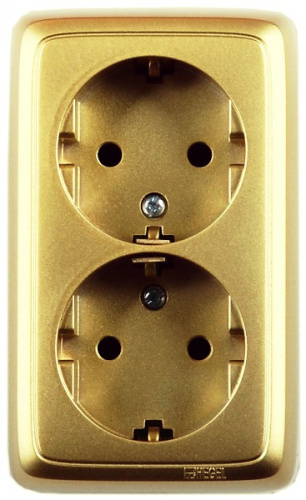 HEGEL Розетка двойная наружная с заземлением со шторками с монтажной пластиной золото (РА16-156-07)