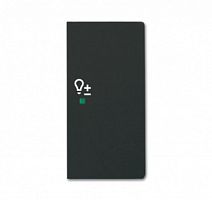 ABB Клавиша двойная правая free@home светорегулятор future цвет чёрный бархат (6220-0-0628)