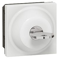 LEGRAND Mosaic Выключатель с ключом двухпозиционный 601 (077072 )