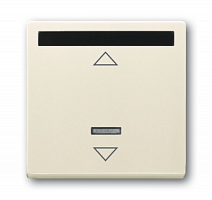 ABB SOLO ИК-приемник для 6590 EV  (BJE6066-82)  (6066-82)  (2CKA006020A1332)