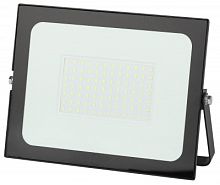 ЭРА Прожектор светодиодный ДО-100W LPR-021-0-65K-100  100Вт 8000Лм 6500К 251x183x36 (Б0043566)