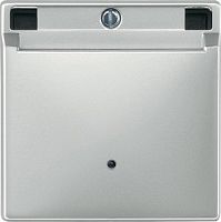 SCHNEIDER ELECTRIC Sys D Накладка для карточного выключателя сталь (MTN315346 )