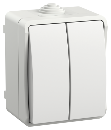 IEK FORS Выключатель 2-клавишный для открытой установки 10А IP54 ВС20-2-0-ФБ белый (EVS20-K01-10-54-DC)