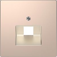 SCHNEIDER ELECTRIC Накладка центральная D-Life для розетки одинарной RJ45 шампань SD (MTN4521-6051)