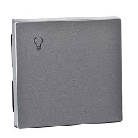 SCHNEIDER ELECTRIC Клавиша с пиктограммой Свет алюминий (MTN439960)