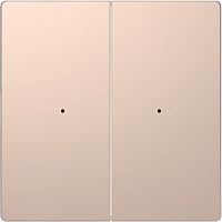 SCHNEIDER ELECTRIC Клавиша D-Life PlusLink 2-ная без символов шампань SD (MTN5220-6051)
