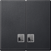 SCHNEIDER ELECTRIC Клавиша 2шт с бесцветным окошком для светоиндикатора антрацит (MTN437514)