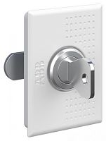 ABB Замок с двумя ключами типа Ronis UK600 (2CPX031413R9999)