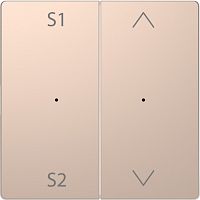 SCHNEIDER ELECTRIC Клавиша D-Life PlusLink 2-ная с S1/S2 вх/вз шампань SD (MTN5227-6051)