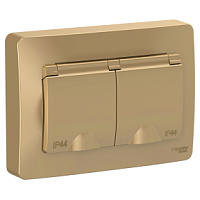 SCHNEIDER ELECTRIC Розетка BLANCA скрытой установки IP44 двойная, с заземлением, со шторками, 16А, 250В, титан (BLNRS441124)