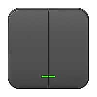 SCHNEIDER ELECTRIC BLANCA двухклавишный выключатель наружный  (cх.5) с подсветкой, 10A, 250B, антрацит (BLNVA105106)