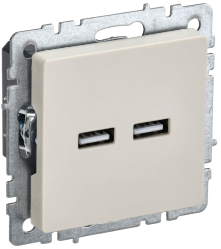 IEK BRITE Розетка USB A+A 5В 3,1А РЮ10-1-БрКр бежевый IEK (BR-U21-D31-K10)