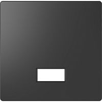 SCHNEIDER ELECTRIC Клавиша D-Life с полем для символа антрацит SD (MTN3350-6034)