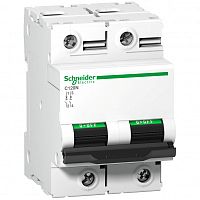 SCHNEIDER ELECTRIC Выключатель автоматический двухполюсный 80А С С120N (A9N18361)