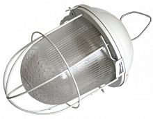 Светильник НСП-02-100-003 с решеткой окрашенный IP52 (Владасвет)