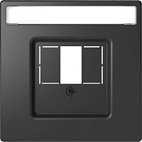 SCHNEIDER ELECTRIC Накладка центральная D-Life для TAE/Audio/USB антрацит SD (MTN4250-6034)