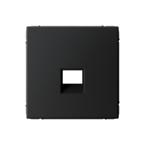 Systeme Electric ARTGALLERY накладка информационная типа Keystone, карбон (GAL001084)