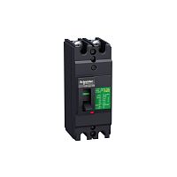 SCHNEIDER ELECTRIC Выключатель автоматический двухполюсный EZC100 30 KA/380В 2Т 100 A (EZC100H2100)